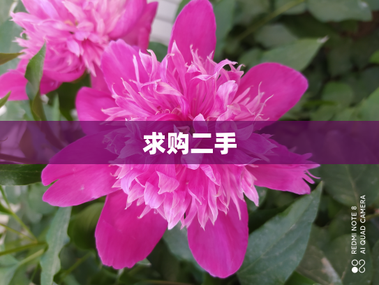 求购二手