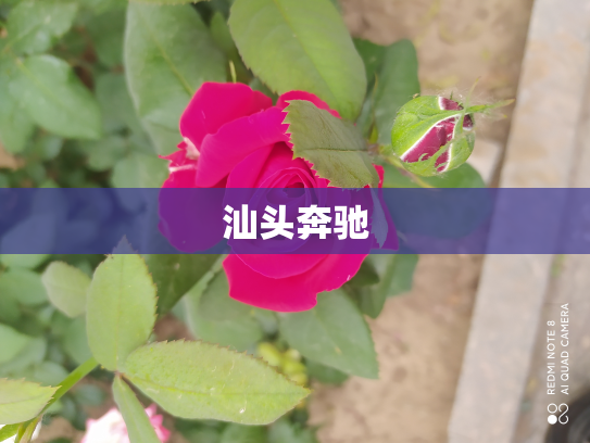 汕头奔驰