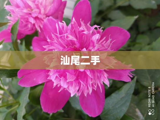 汕尾二手