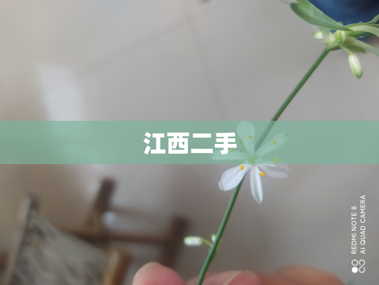 江西二手