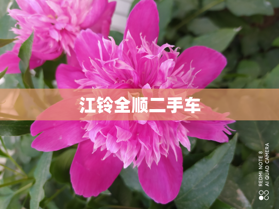 江铃全顺二手车