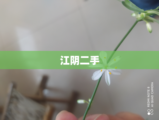 江阴二手