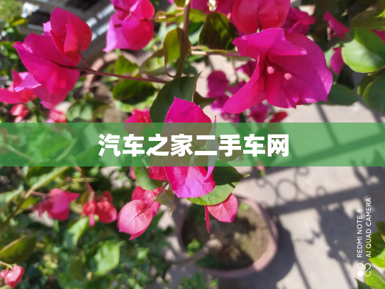 汽车之家二手车网