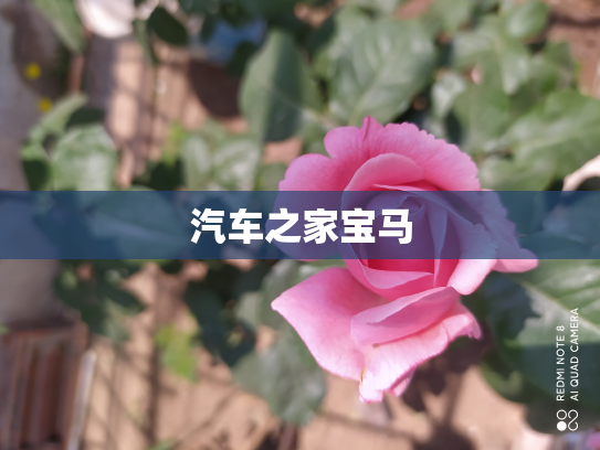 汽车之家宝马