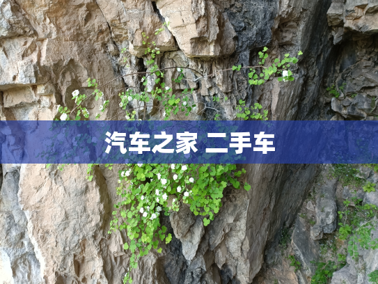 汽车之家 二手车