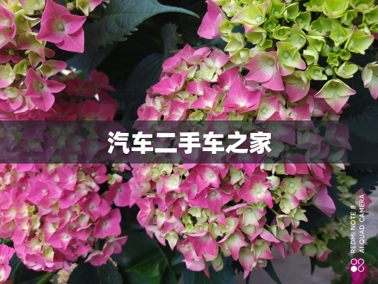 汽车二手车之家