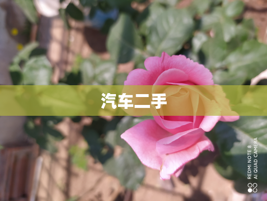 汽车二手