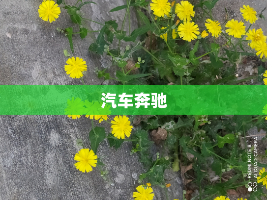 汽车奔驰