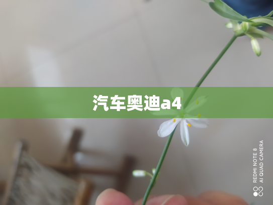 汽车奥迪a4