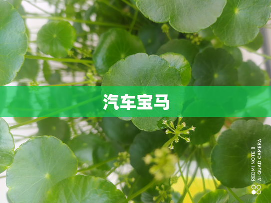 汽车宝马
