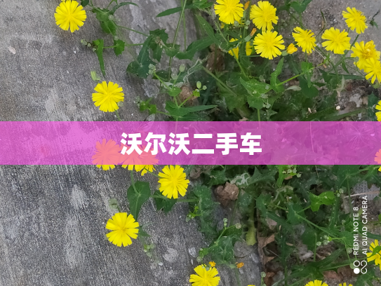 沃尔沃二手车