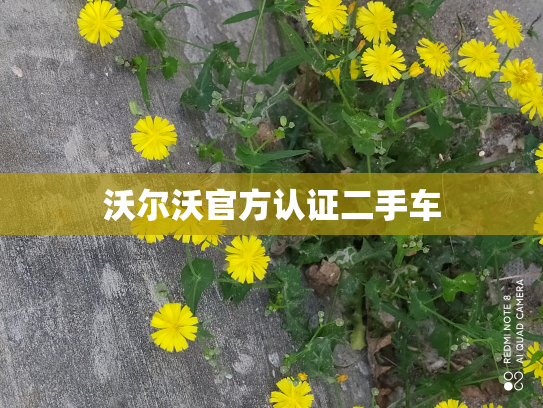沃尔沃官方认证二手车