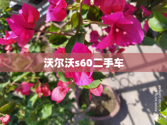 沃尔沃s60二手车