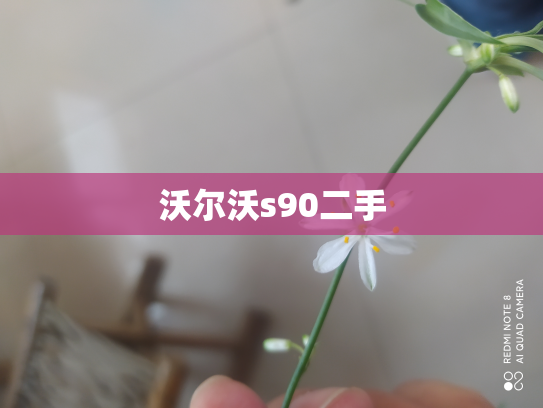 沃尔沃s90二手