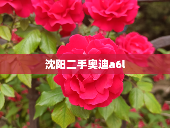 沈阳二手奥迪a6l