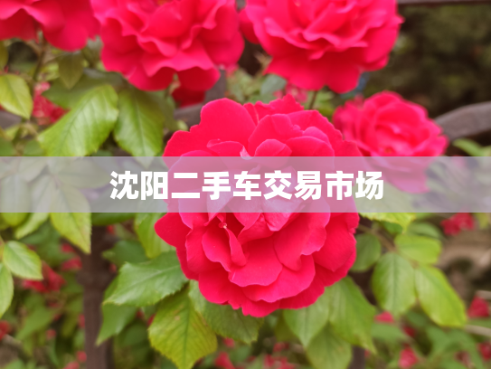 沈阳二手车交易市场