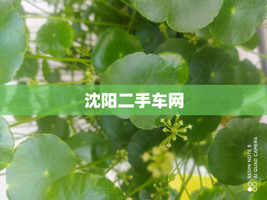 沈阳二手车网