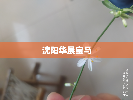 沈阳华晨宝马