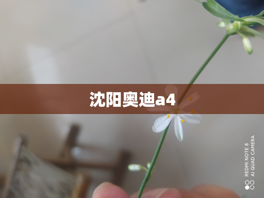 沈阳奥迪a4