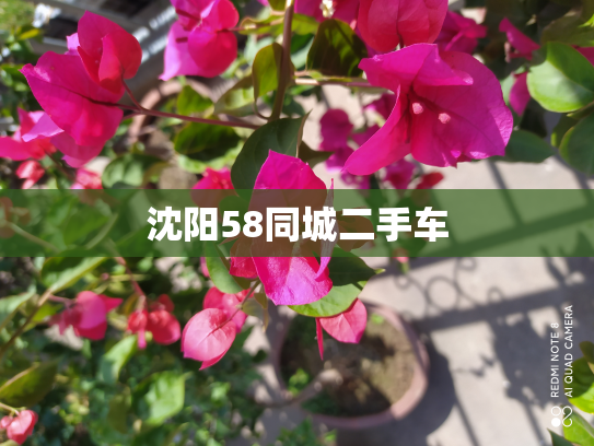 沈阳58同城二手车