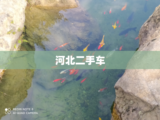 河北二手车