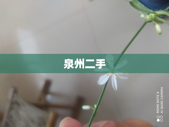 泉州二手