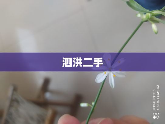 泗洪二手