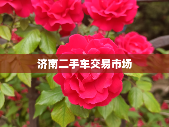 济南二手车交易市场