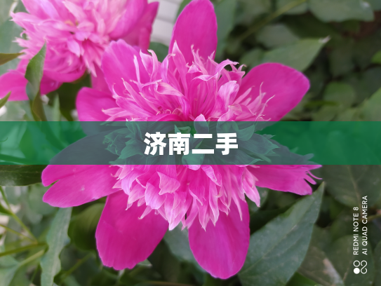 济南二手