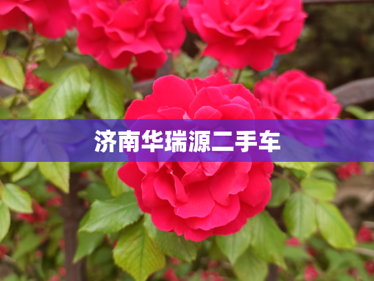 济南华瑞源二手车