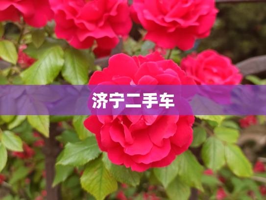 济宁二手车