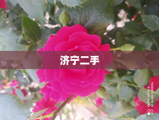 济宁二手