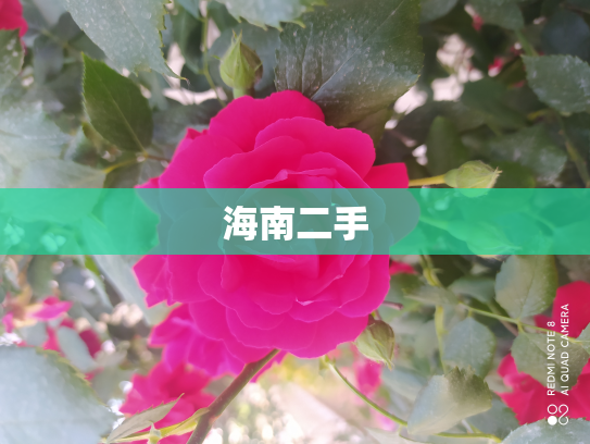 海南二手