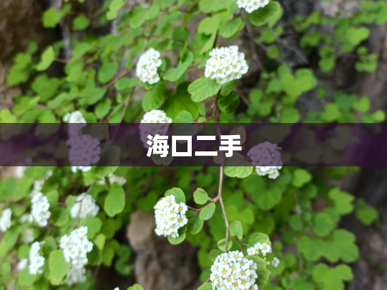 海口二手