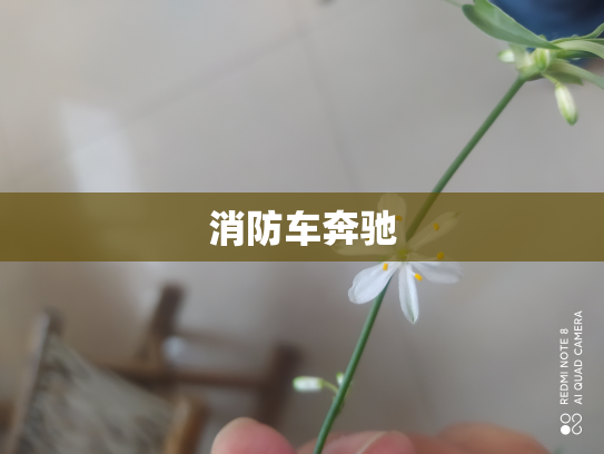 消防车奔驰