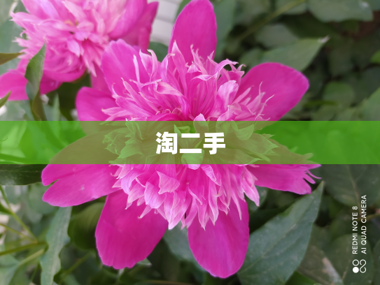 淘二手