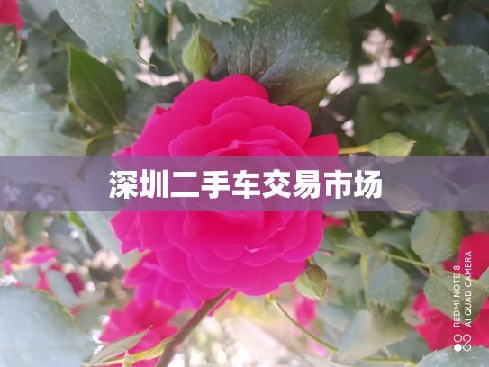 深圳二手车交易市场
