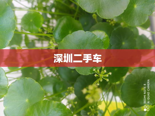 深圳二手车