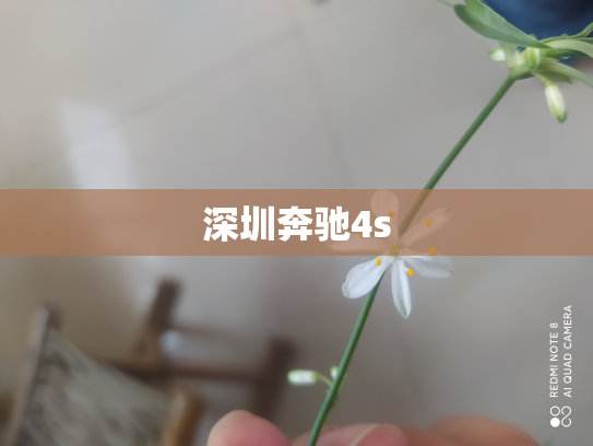 深圳奔驰4s