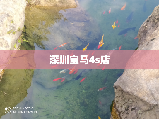 深圳宝马4s店