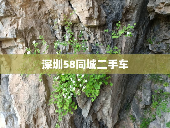 深圳58同城二手车