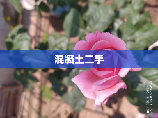 混凝土二手