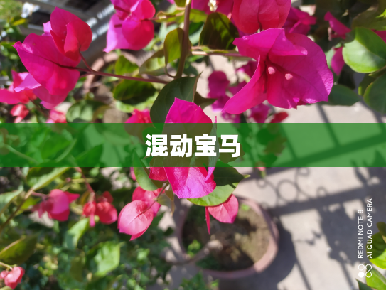 混动宝马