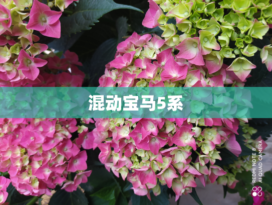 混动宝马5系