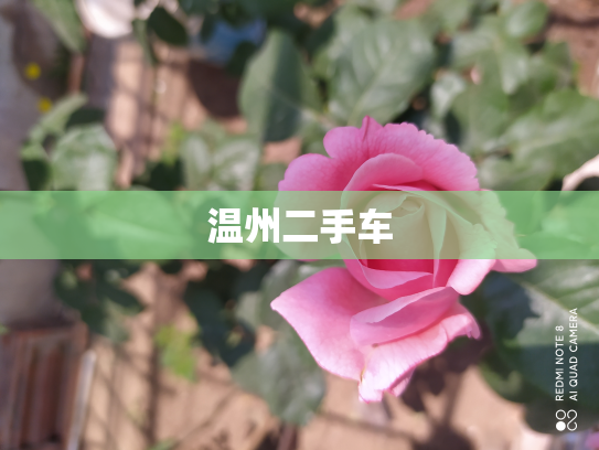 温州二手车