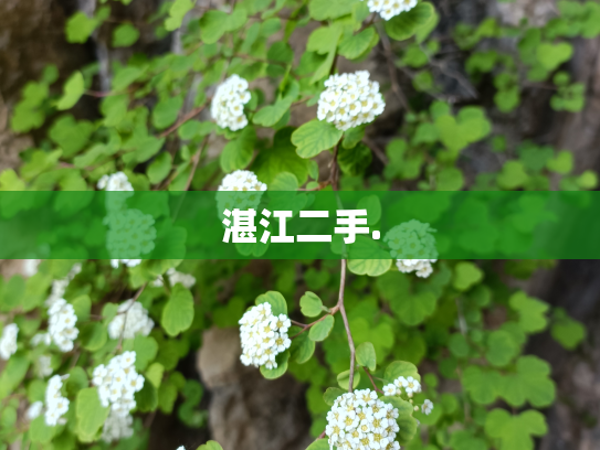 湛江二手.