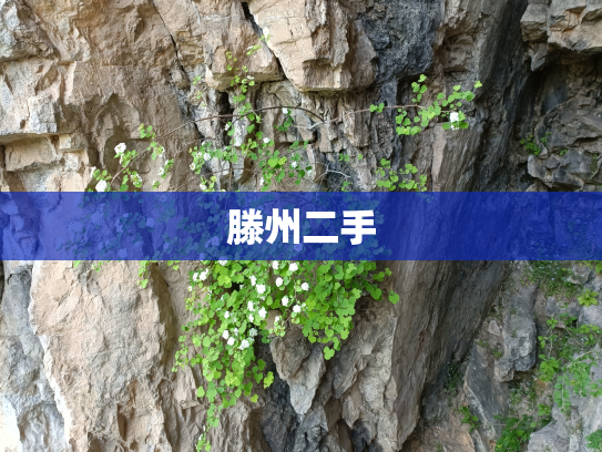 滕州二手