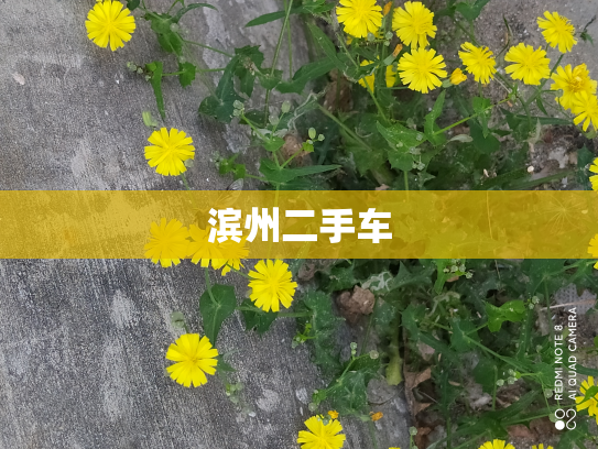 滨州二手车