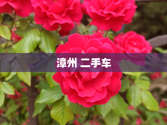 漳州 二手车