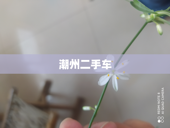 潮州二手车